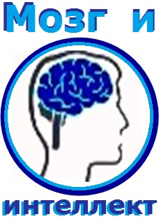 Мозг и интеллект